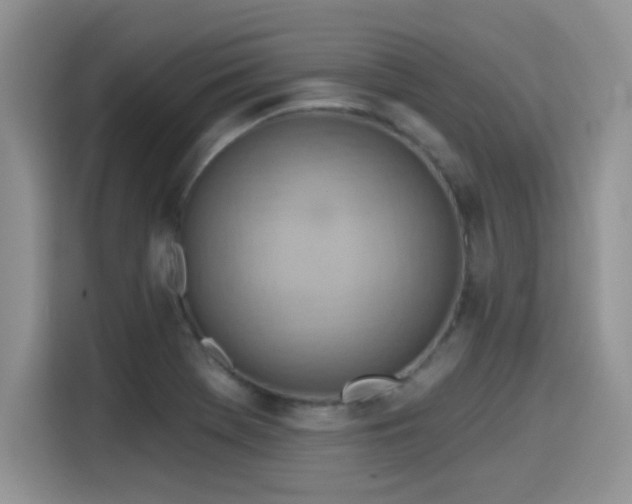 X0000115591369200911171021