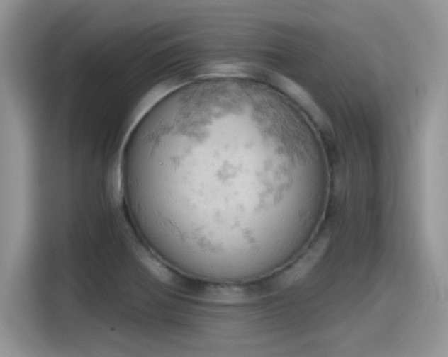 X0000115591370200911171021