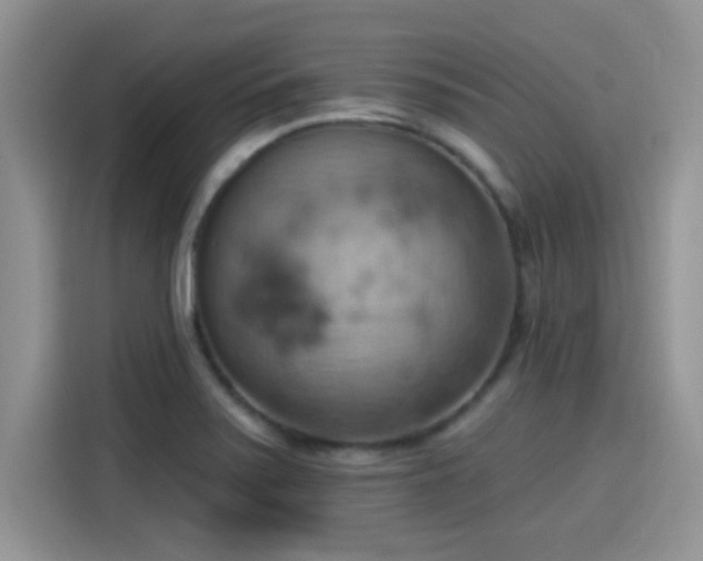 X0000115591371200911171021