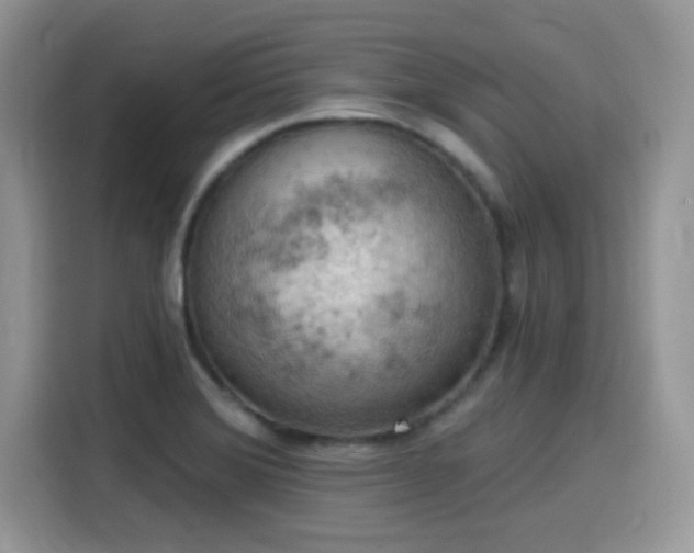 X0000115591372200911171021