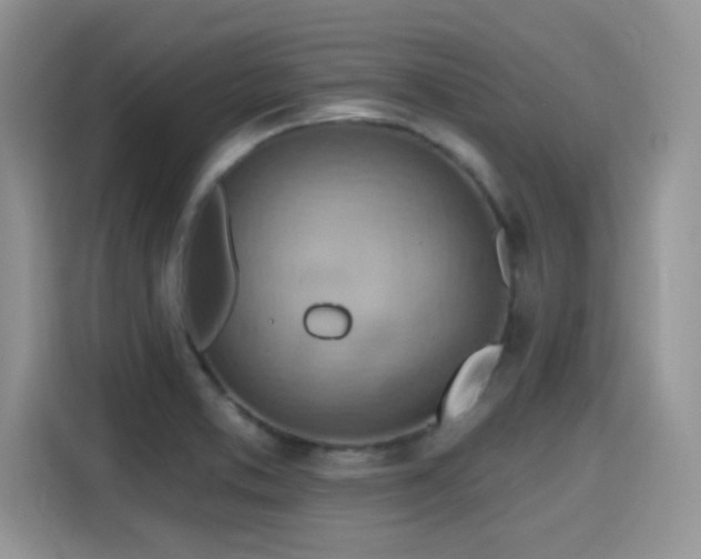 X0000115591373200911171021