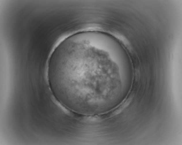 X0000115591374200911171021