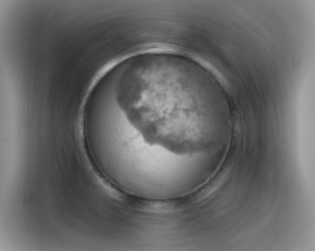 X0000115591375200911171021