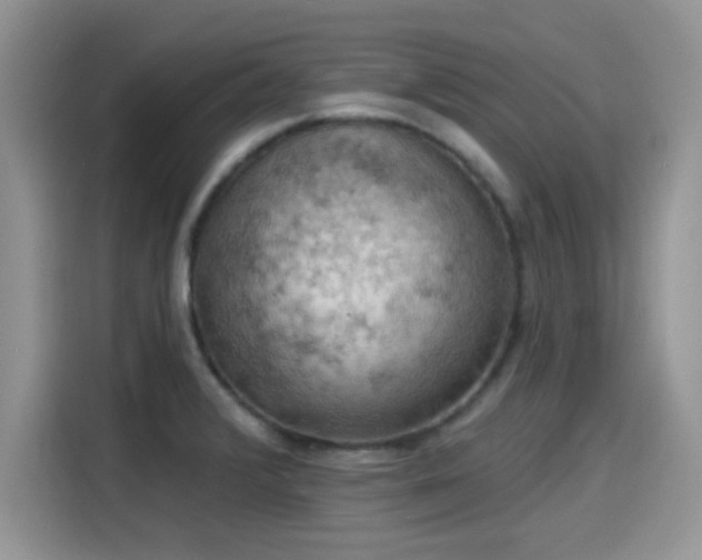 X0000115591376200911171021