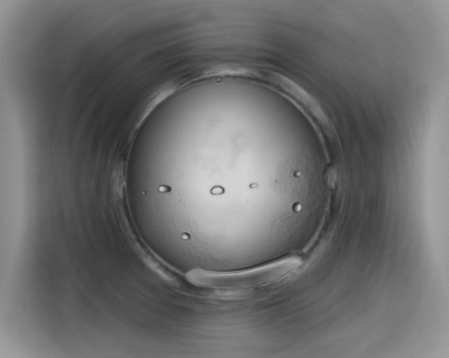 X0000115591377200911171021