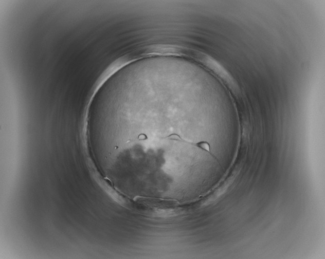 X0000115591378200911171021