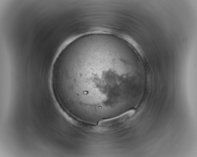 X0000115591379200911171021