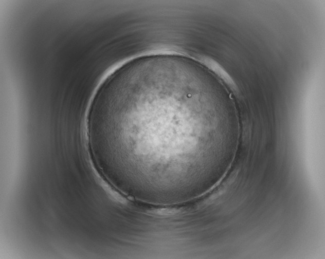 X0000115591380200911171021