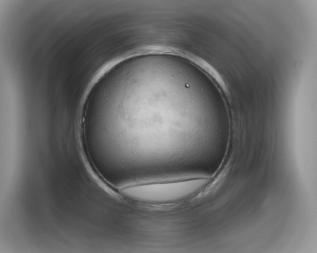 X0000115591381200911171021