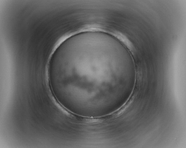 X0000115591382200911171021