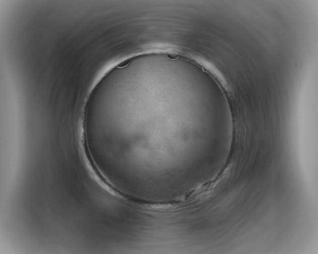X0000115591383200911171021