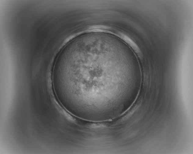 X0000115591384200911171021