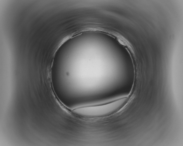 X0000115591385200911171021