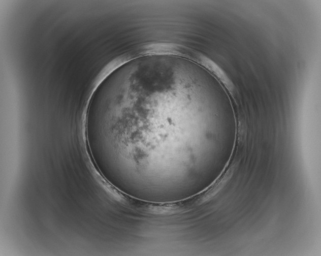 X0000115591386200911171021