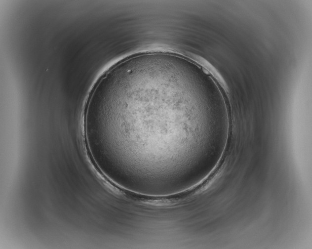 X0000115591388200911171021