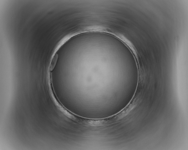 X0000115591389200911171021