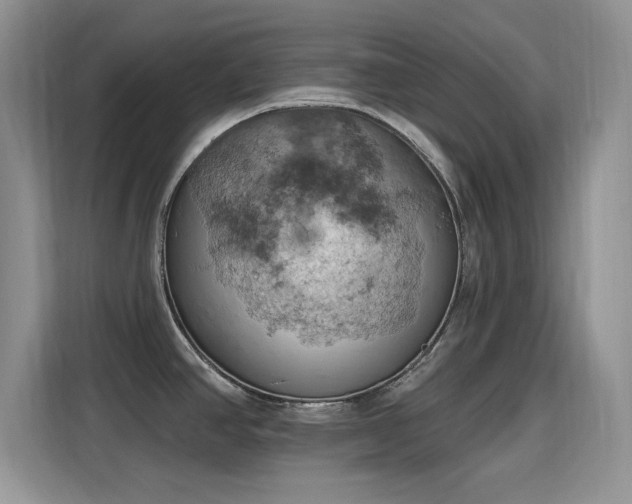 X0000115591390200911171021