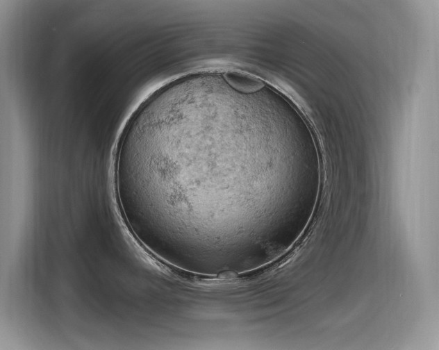 X0000115591392200911171021