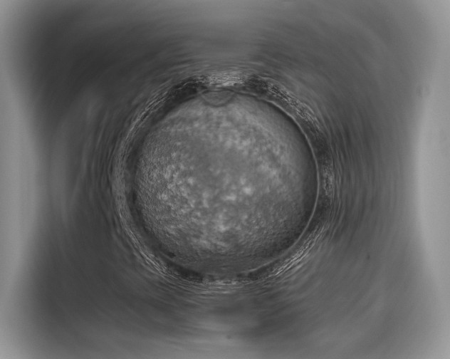 X0000115591393200911171020