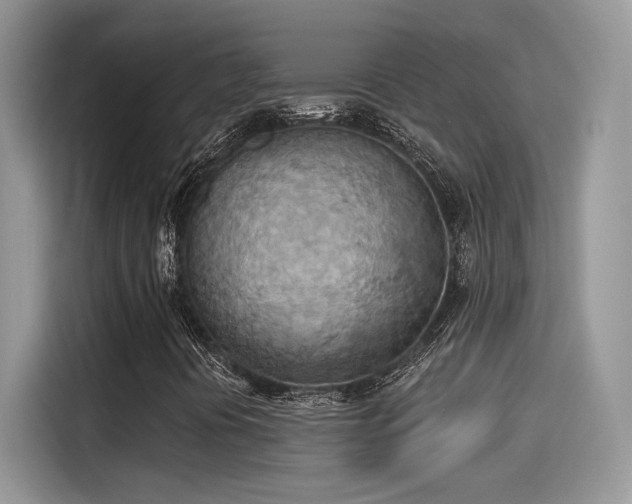 X0000115591394200911171020