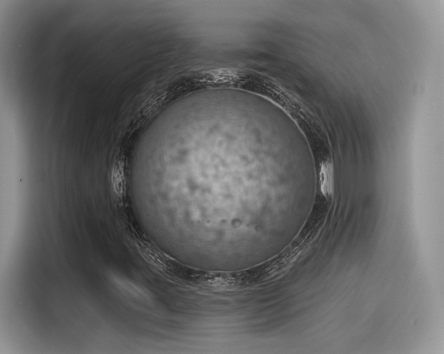 X0000115591395200911171020