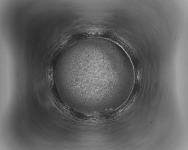 X0000115591396200911171020