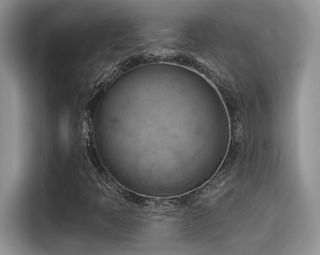 X0000115591397200911171020