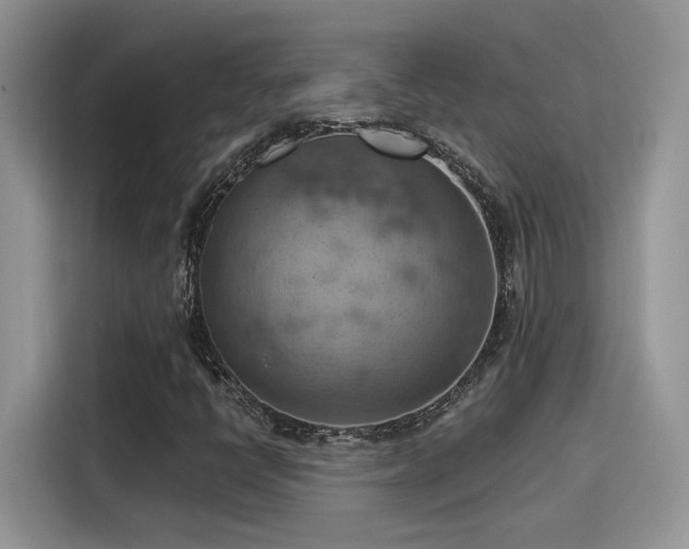 X0000115591398200911171020