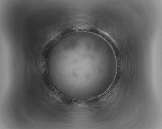 X0000115591399200911171020