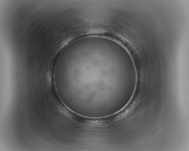 X0000115591401200911171020