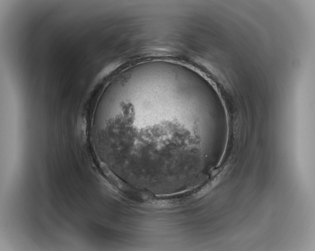 X0000115591402200911171020