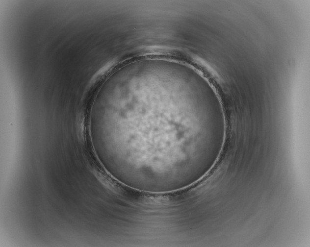 X0000115591403200911171020