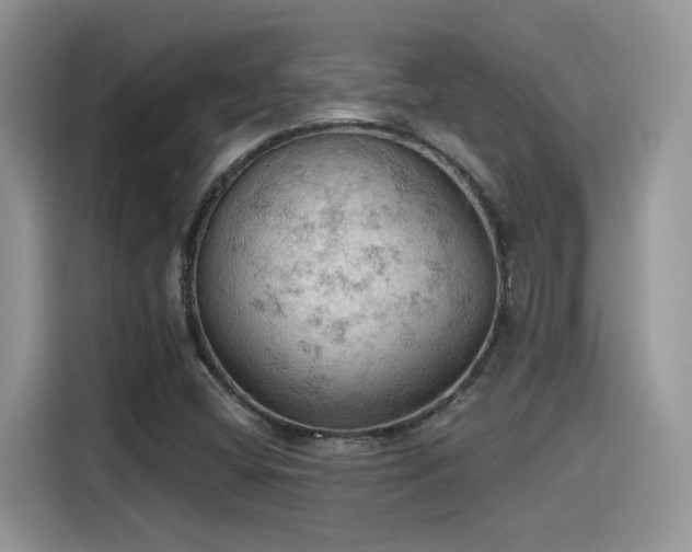 X0000115591404200911171020