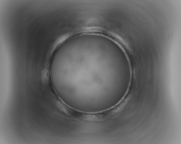 X0000115591405200911171020
