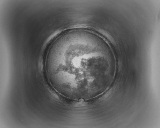 X0000115591406200911171020