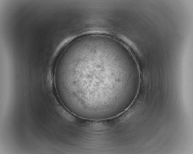 X0000115591408200911171020