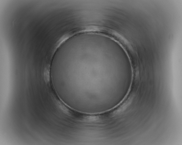 X0000115591409200911171020