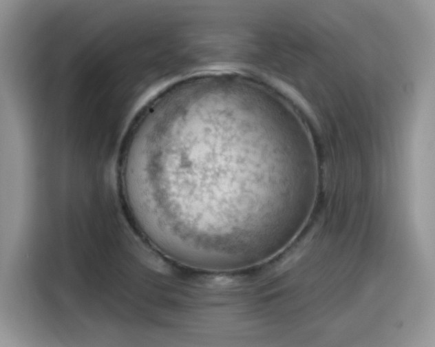 X0000115591412200911171020