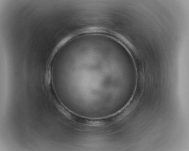 X0000115591413200911171020