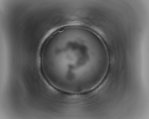 X0000115591414200911171020