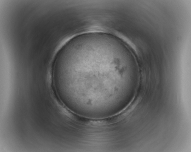 X0000115591415200911171020