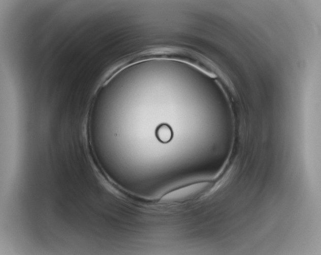 X0000115591417200911171020