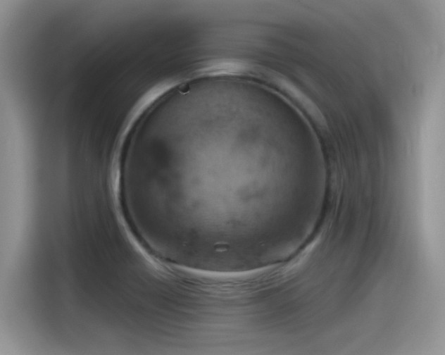 X0000115591418200911171020
