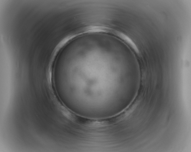X0000115591419200911171021