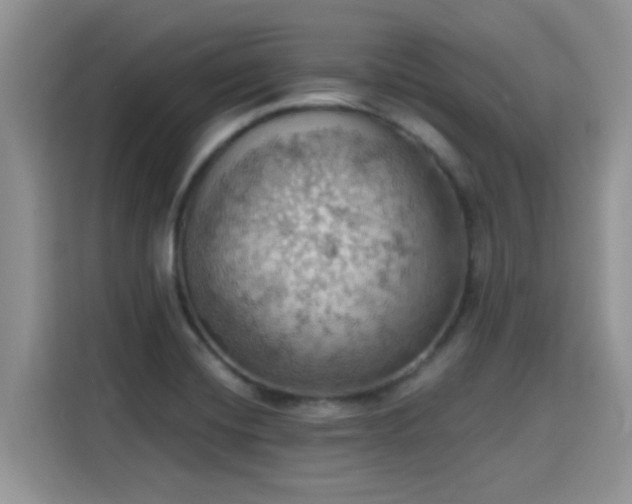 X0000115591420200911171021