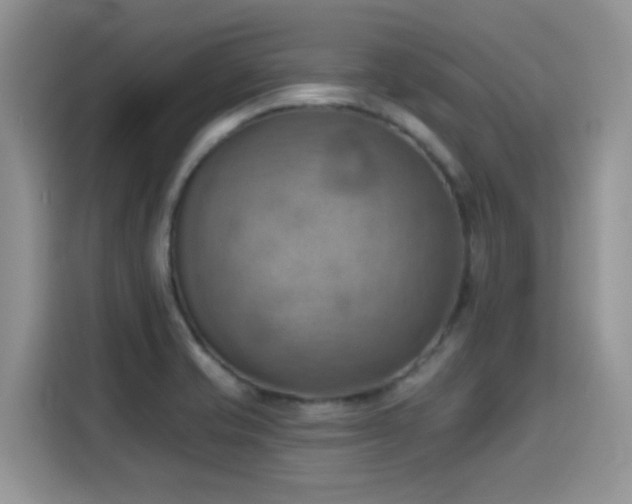 X0000115591421200911171021