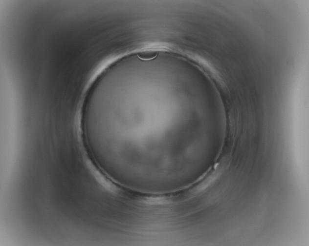 X0000115591422200911171021