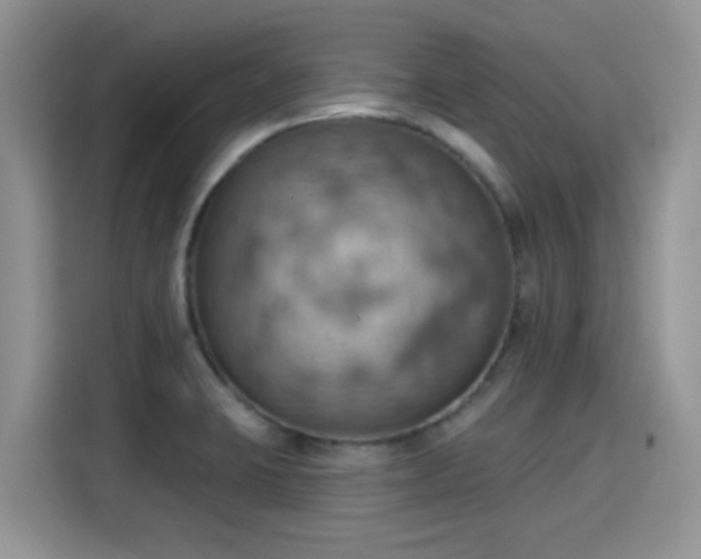 X0000115591423200911171021