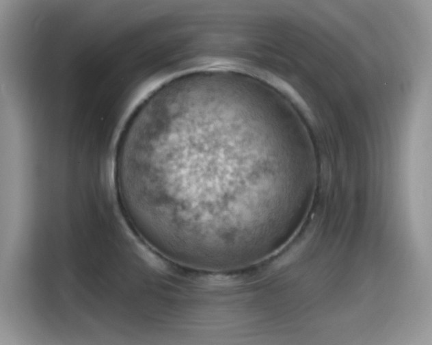 X0000115591424200911171021