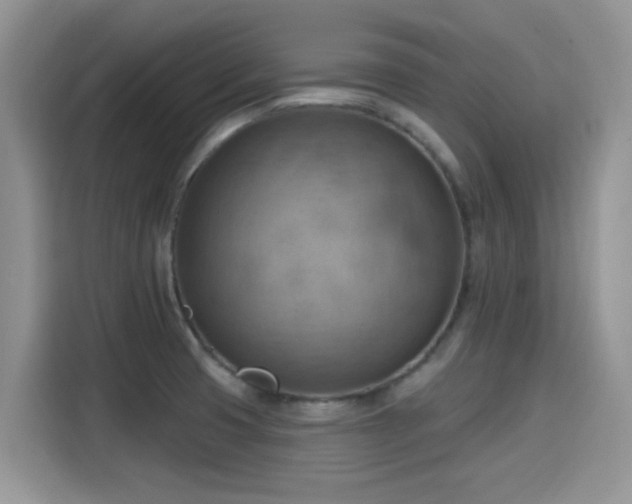 X0000115591425200911171021